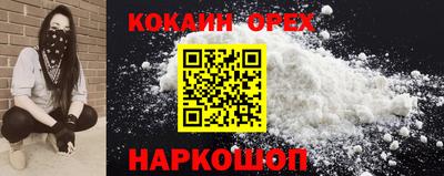 шишки Будённовск