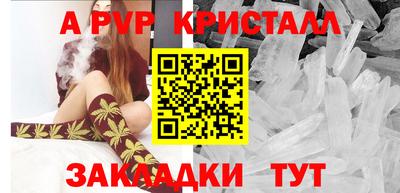 шишки Будённовск