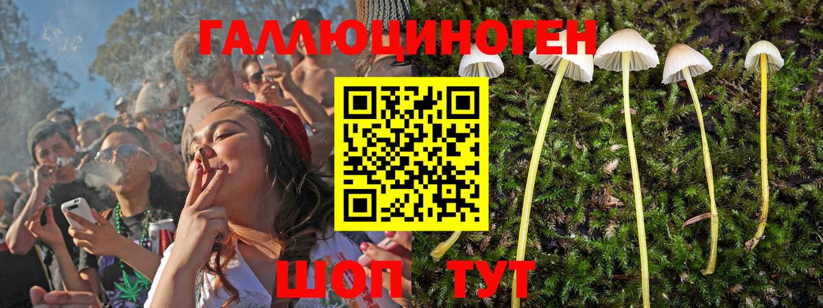 Мичуринск  закладка  Вход с VPN  Галлюциногенные грибы мухоморы 